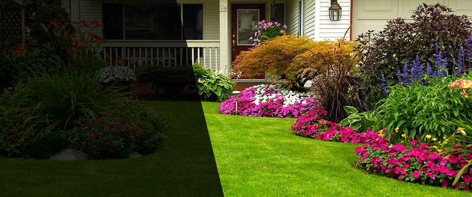 Penn Valley Landscapers