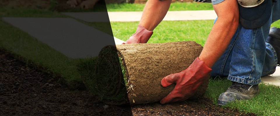 Penn Valley Landscapers